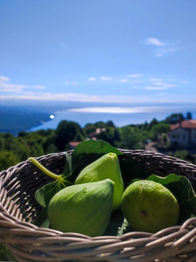 Uphill Opatija Apartment Εξωτερικό φωτογραφία